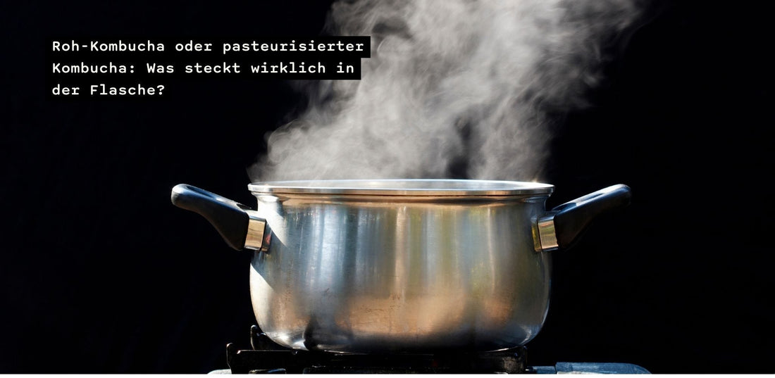 Roh-Kombucha oder pasteurisierter Kombucha: Was steckt wirklich in der Flasche?