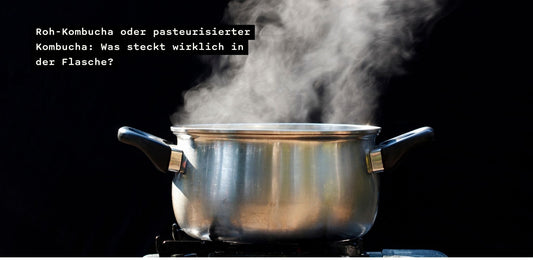Roh-Kombucha oder pasteurisierter Kombucha: Was steckt wirklich in der Flasche?