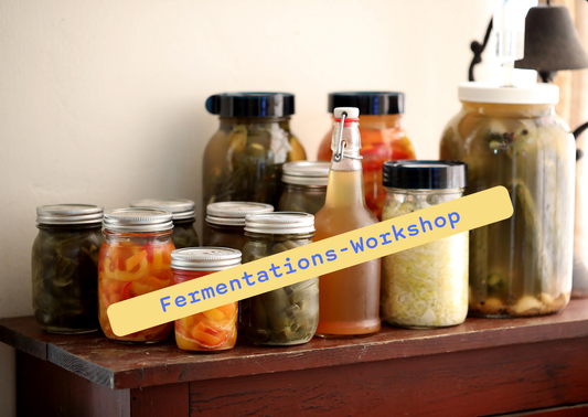 Kombucha & Gemüse Workshop