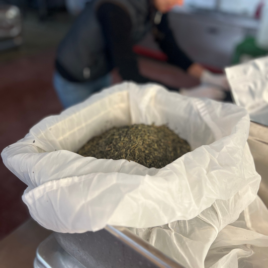 Workshop Private Session